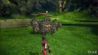 TERA gameplay