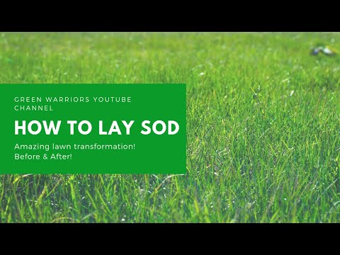 Green Warriors Landscaping & Construction video.