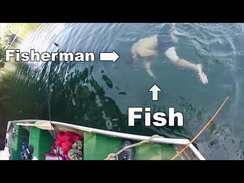 CRAZY Fishing Tales You Have to SEE to Believe!!! (Compilation) Video