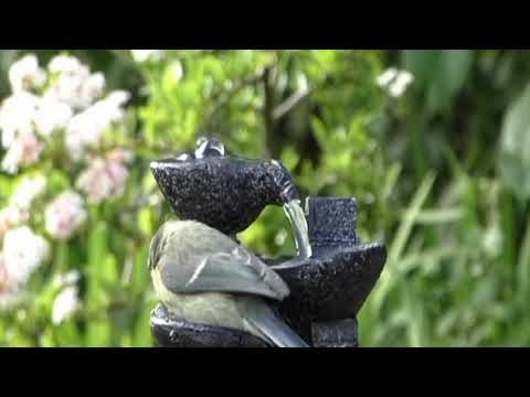 Opwekking 729 Hij is erbij