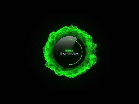 Inessa - Electric Hibiscus (Original Mix) [Leisure Music Productions]