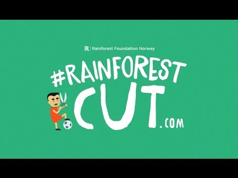 Rainforestcut.com