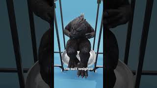 Download lagu Inside The Original Godzilla Suit 😱 mp3
