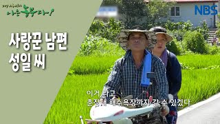 [홍고추 농장의 굳세어라 영란 씨!] 보석 같은 딸 '진주'