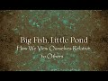 Big Fish, Little Pond - How We View Ourselves Relative to Others (T.O.R. #031)