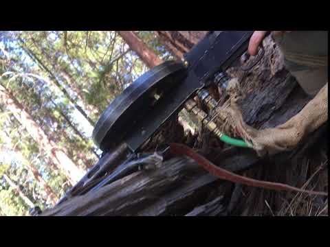 Pavel Pushing Back the Invaders