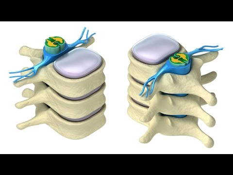 CURSO DE FARMACOLOGÍA DEL SISTEMA NERVIOSO AUTÓNOMO