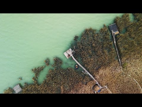 IBCC BALATON - 300 EKIP NA ZAWODACH KARPIOWYCH