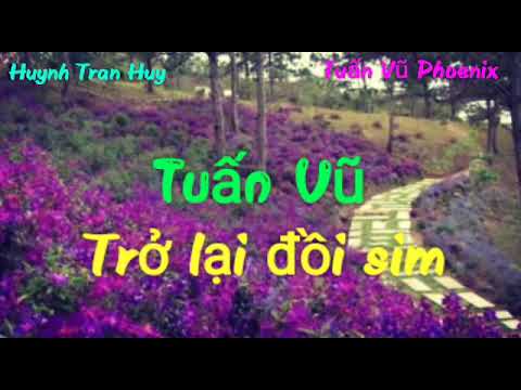 Trở lại đồi sim - Tuấn Vũ