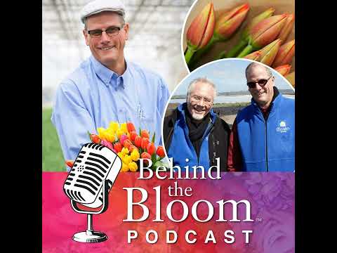 Episode 26 - Interview with Lane DeVries- President of CalFlowers- Author of 'The Pursuit of Purp...