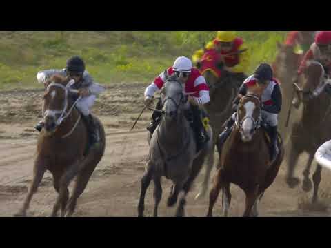 2021.07.18  Zawawi Cup (SWE) - Nocentsinkentucky