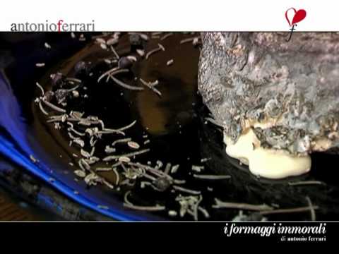 download lagu mp3 mp4 Fleur De Maquis Fromage, download lagu Fleur De Maquis Fromage gratis, unduh video klip Fleur De Maquis Fromage