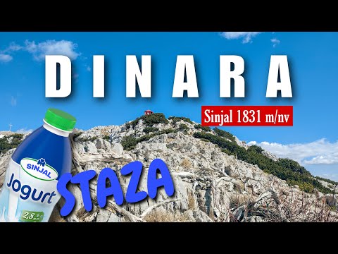 🇭🇷 DINARA: JOGURT STAZOM DO KROVA HRVATSKE | VRH SINJAL 🇭🇷