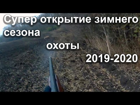 Супер открытие зимнего сезона охоты 2019-2020