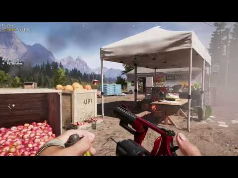 Boomer is a good boy