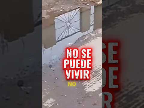 😡Un ASCO Las CALLES En Barrio  De Córdoba