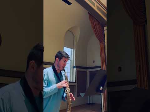 Accent Soprano Sax image 8