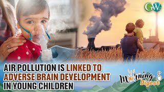 AIR POLLUTION IS LINKED TO ADVERSE BRAIN DEVELOPMENT IN YOUNG CHILDREN