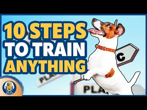 How To Teach Your Dog Anything With My Training Plan #172 #podcast