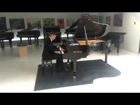 F. Chopin - etude op.10 no.12  (revolutionary)Mihael Timotej Pastonjicki