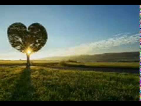 Don Danielo feat Dr. Snake - Die Zeit voller Wunder