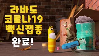 라바도 코로나19 백신 접종했어요!! 이미지