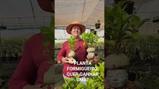 HOJE E DIA DE LIVE, TEM SORTEIO