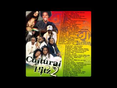 DJ Kenny - Cultural Hitz Vol. 2 (2008 Mix CD Preview)