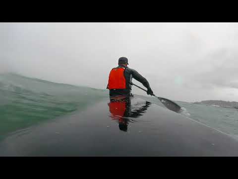 Life in the Pacific North Wet