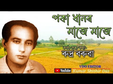 পকা ধানৰ মাজে মাজে ৷৷ poka dhanor maje maje ৷৷ singer- Rudra Baruah ৷৷ assamese old song