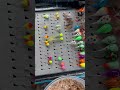 Video Thumbnail for BEST Perch Live Bait
