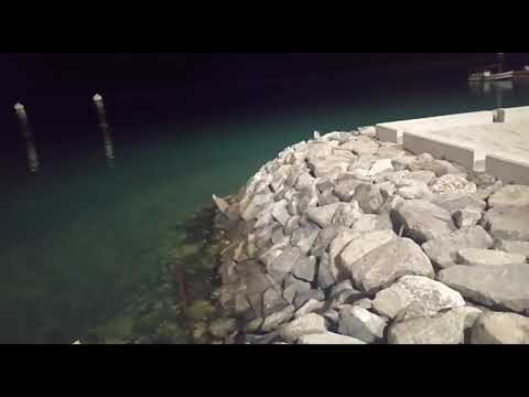 മുസന്നാഹ ബീച്ചിലെ കുഞ്ഞി മീനുകൾ ||Musannah beach Oman || Freshly entertainment