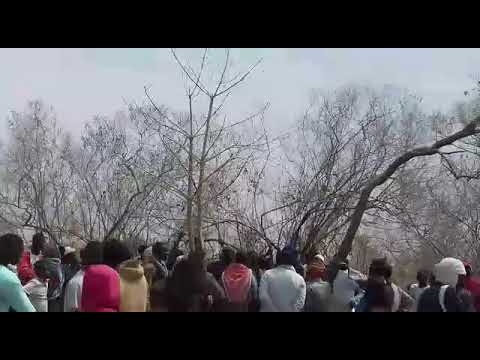 BOLOKOLI NYAMINA FALIBOUGOUNI