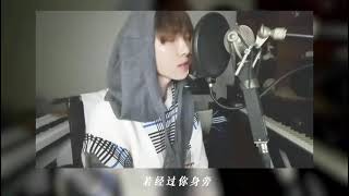 R1SE 赵磊. Ray Zhao. 我有多么喜欢你 (Cover 萧敬腾&amp;林宥嘉)