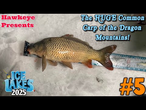 Ice Lakes (2025) #5 - ALL Lakes Tour: The HUGE Common Carp of the Dragon Mountains!