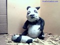 The Sneezing Baby Panda - Animated!