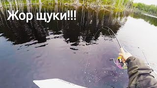 Ловля щуки в карелии