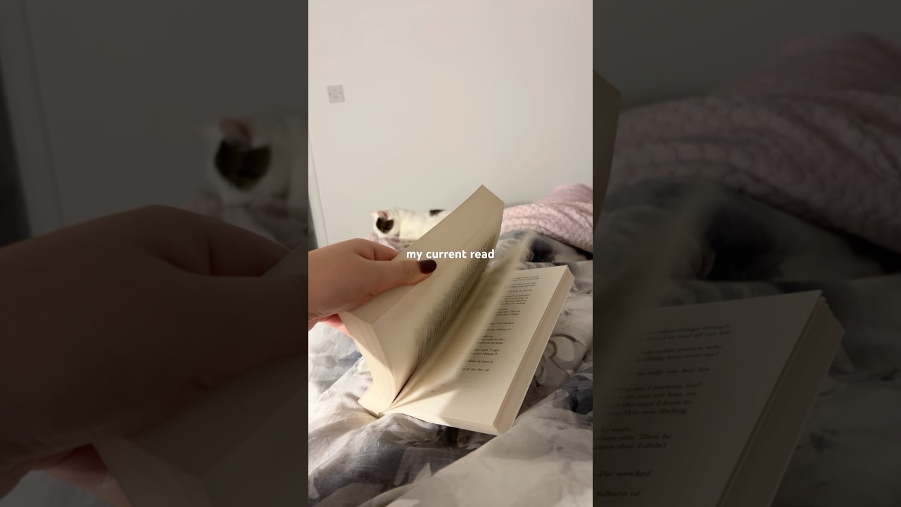 Have you read this? #booktube #booksuggestions #bookrecommendations #bookish #bookworm #book #books