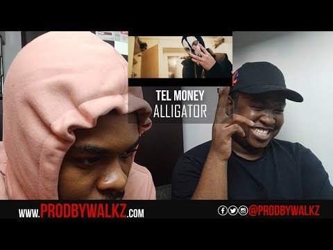 Tel Money - Alligator (Music Video) | @MixtapeMadness (REACTION)