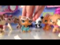 Lps Music Video: Come Get Your Ride 