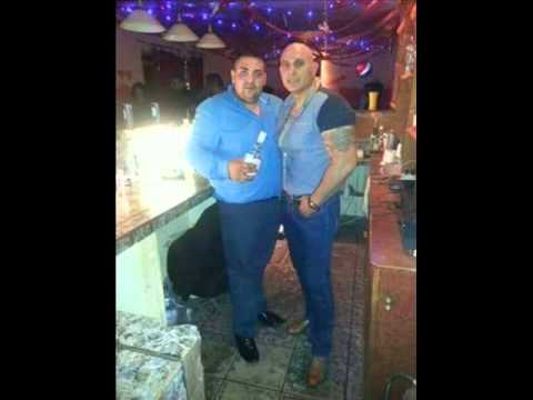 Érdi Baba 2015 Lolo tulipáni