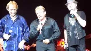 Cuddly Toy (partial) - MONKEES LIVE @ FESTA ITALIANA ! - July 23, 2011