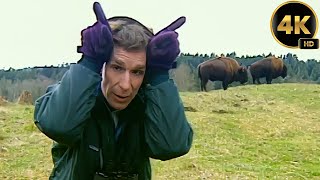 Bill Nye The Science Guy | Mammals