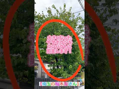 造園 – 最大限の快適さを実現する 26 のトレンディーなアイデア  庭園