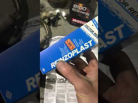 Victor Reinz Reinzoplast