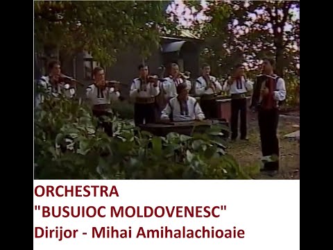 Orchestra "Busuioc Moldovenesc"