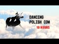 Dancing Polish Cow 10 Hours