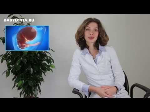 Болит спина с ногами Видео лечебная гимнастика при шейном и грудном остеохондрозе видео