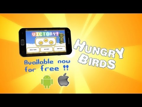 Hungry Birds Video
