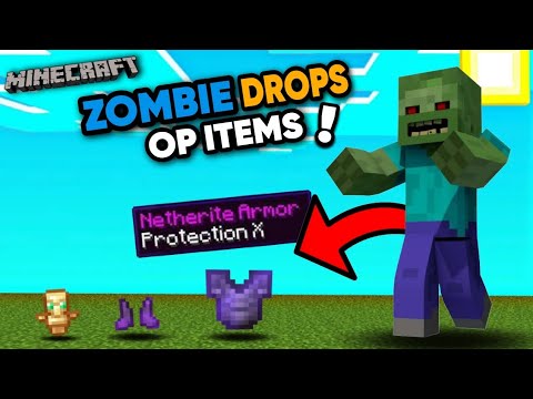Insane Zombie Drops in Minecraft (Hindi)